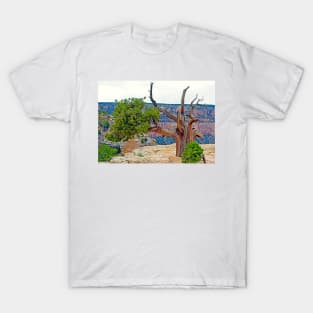 Grand Canyon Tree Study 3 T-Shirt